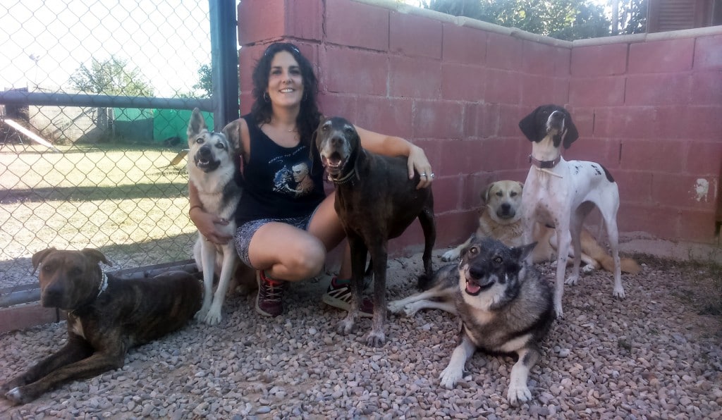adiestramiento de perros Rudog rudog-zaragoza adiestramiento de perros